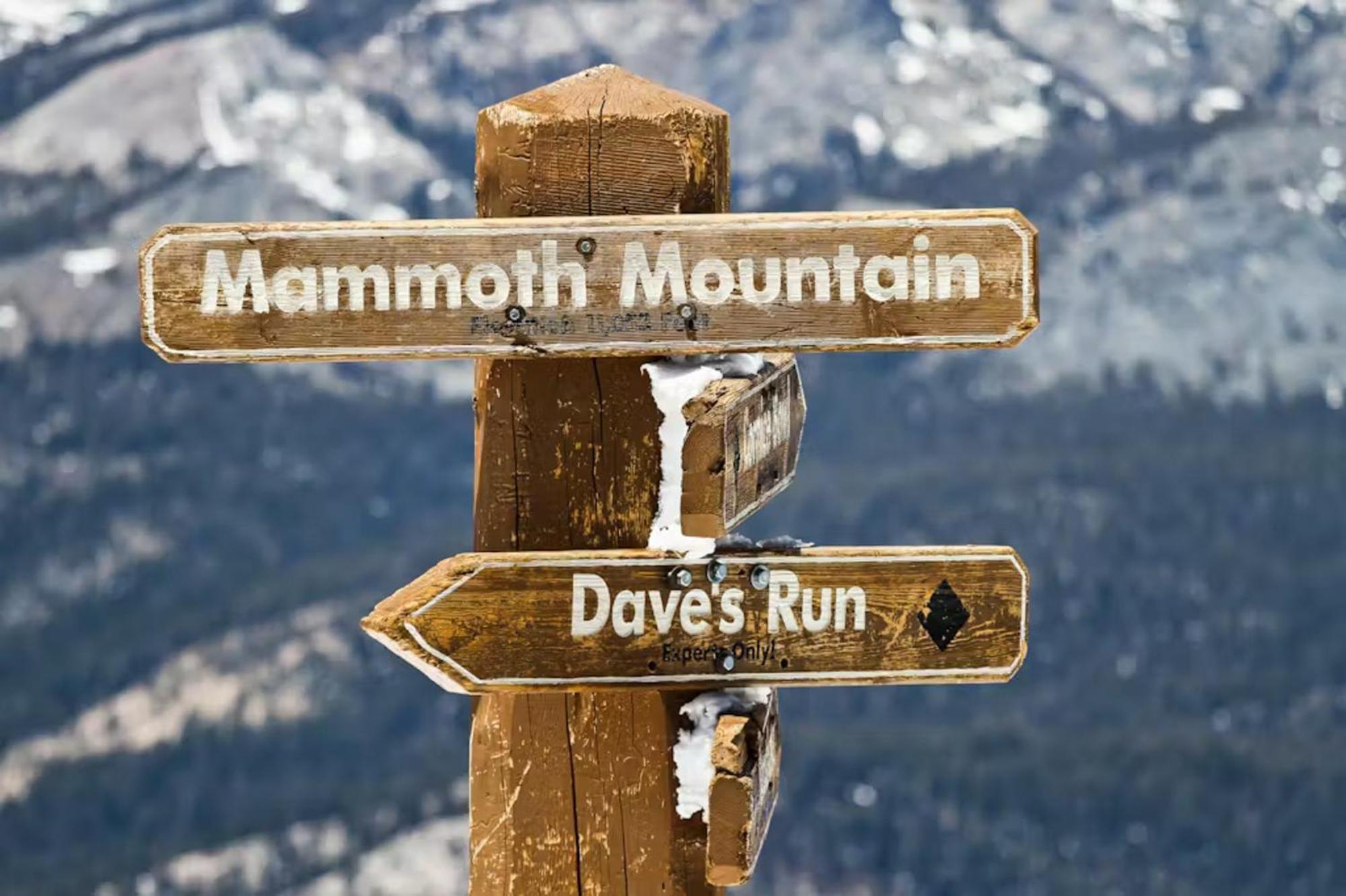 Appartamento Mountainback 47 *