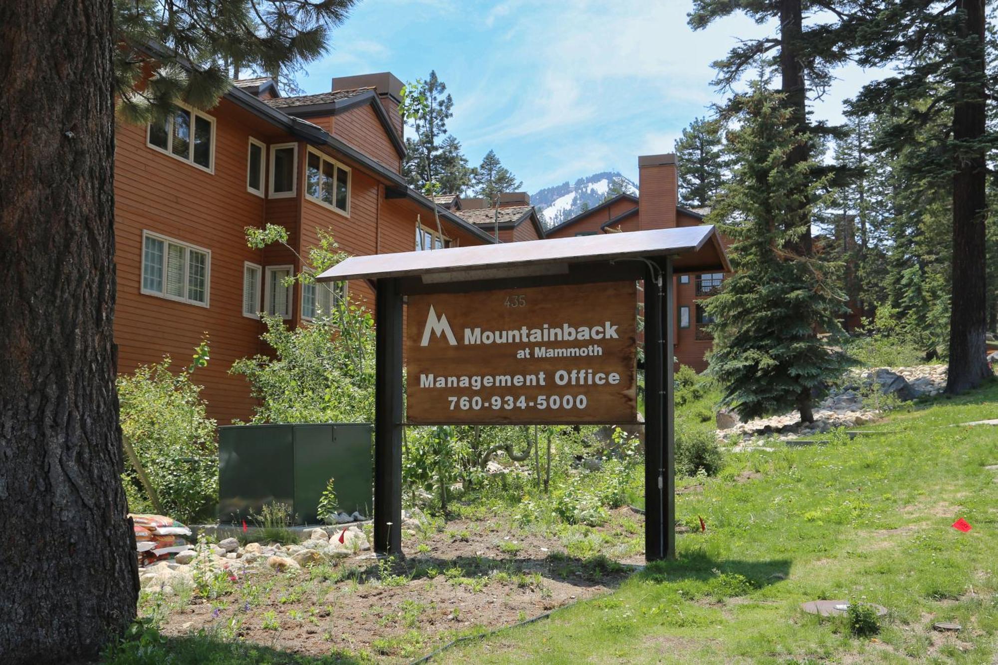 Mountainback 47