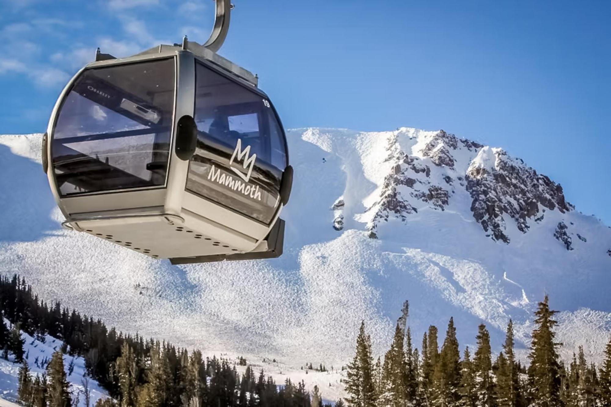Mountainback 47